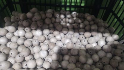 Kit com 100 bolinhas em madeira maciça, vazadas com furo